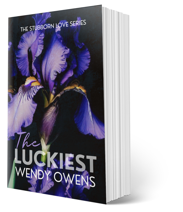 Stubborn Love Series (3 book) Bundle - Spicy Contemporary Romances