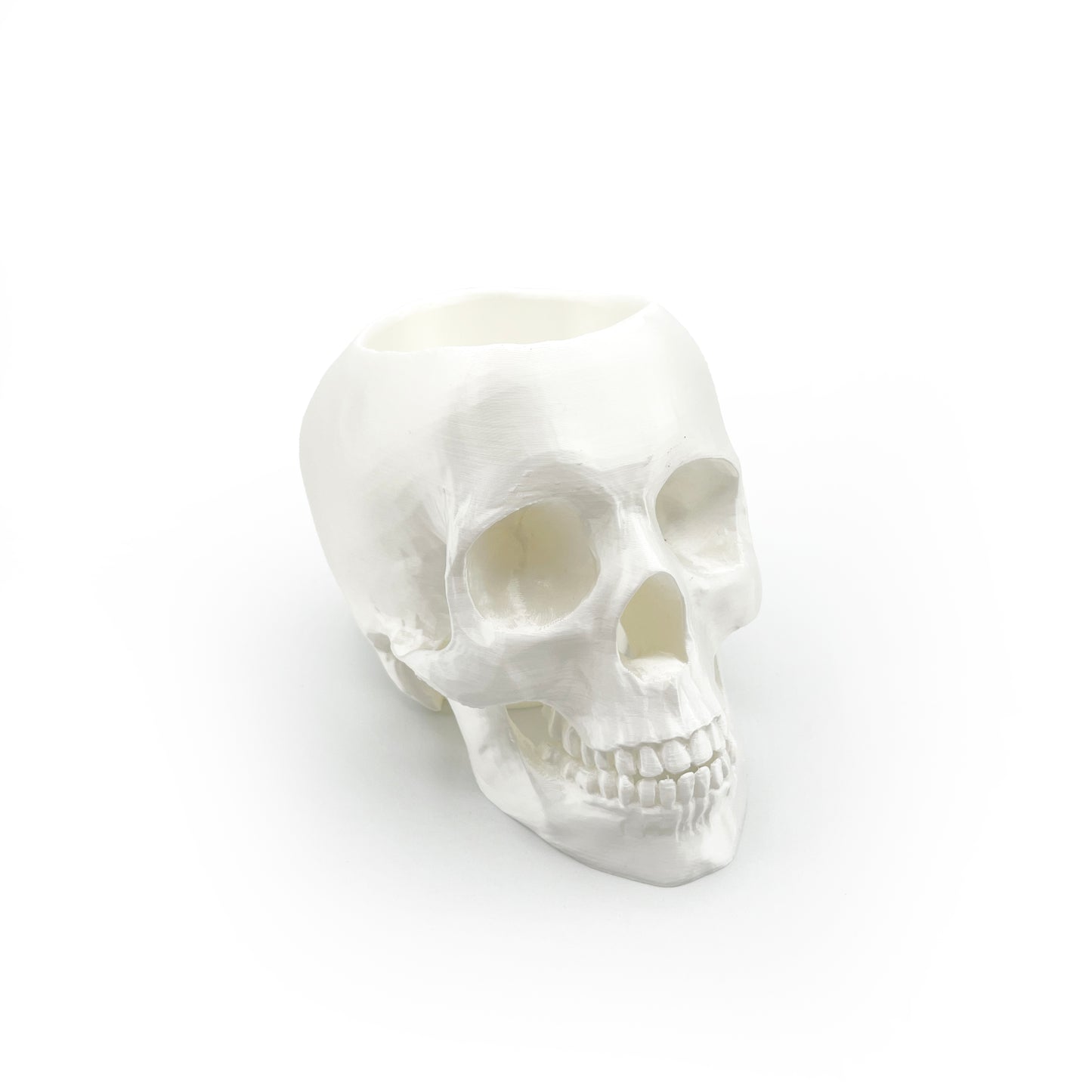 3D Printed Skull Pen Holder ā Bookish Decor for Desk or Vanity | Fantasy-Inspired Organizer