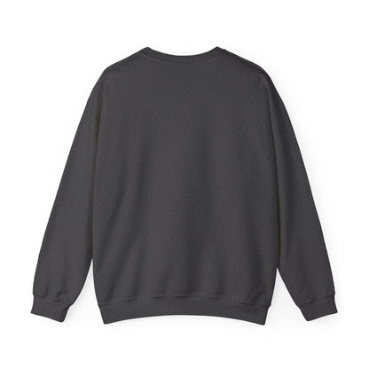 Denver Nighthawks Crewneck Sweatshirt – Vintage Sports Logo Pullover