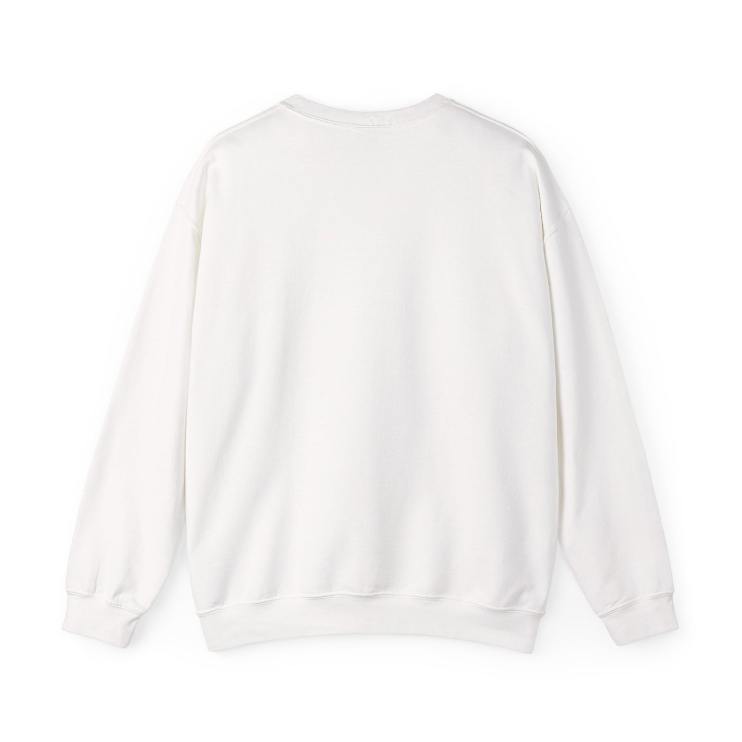 Denver Nighthawks Crewneck Sweatshirt – Vintage Sports Logo Pullover