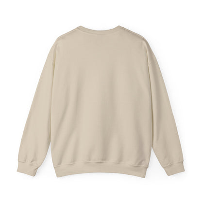 Denver Nighthawks Crewneck Sweatshirt – Vintage Sports Logo Pullover