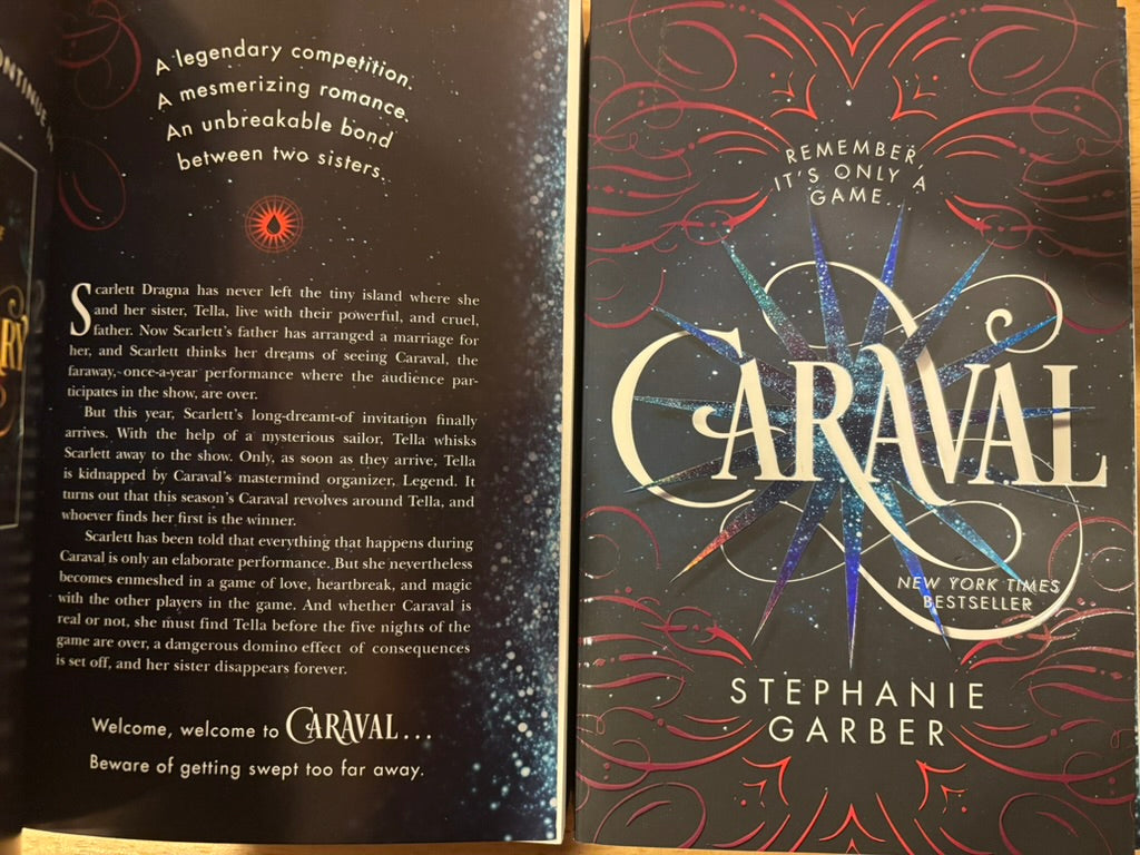 Fantasy/Romantasy Book Buddy Bundle – Date with a Book + Collectible Buddy Experience