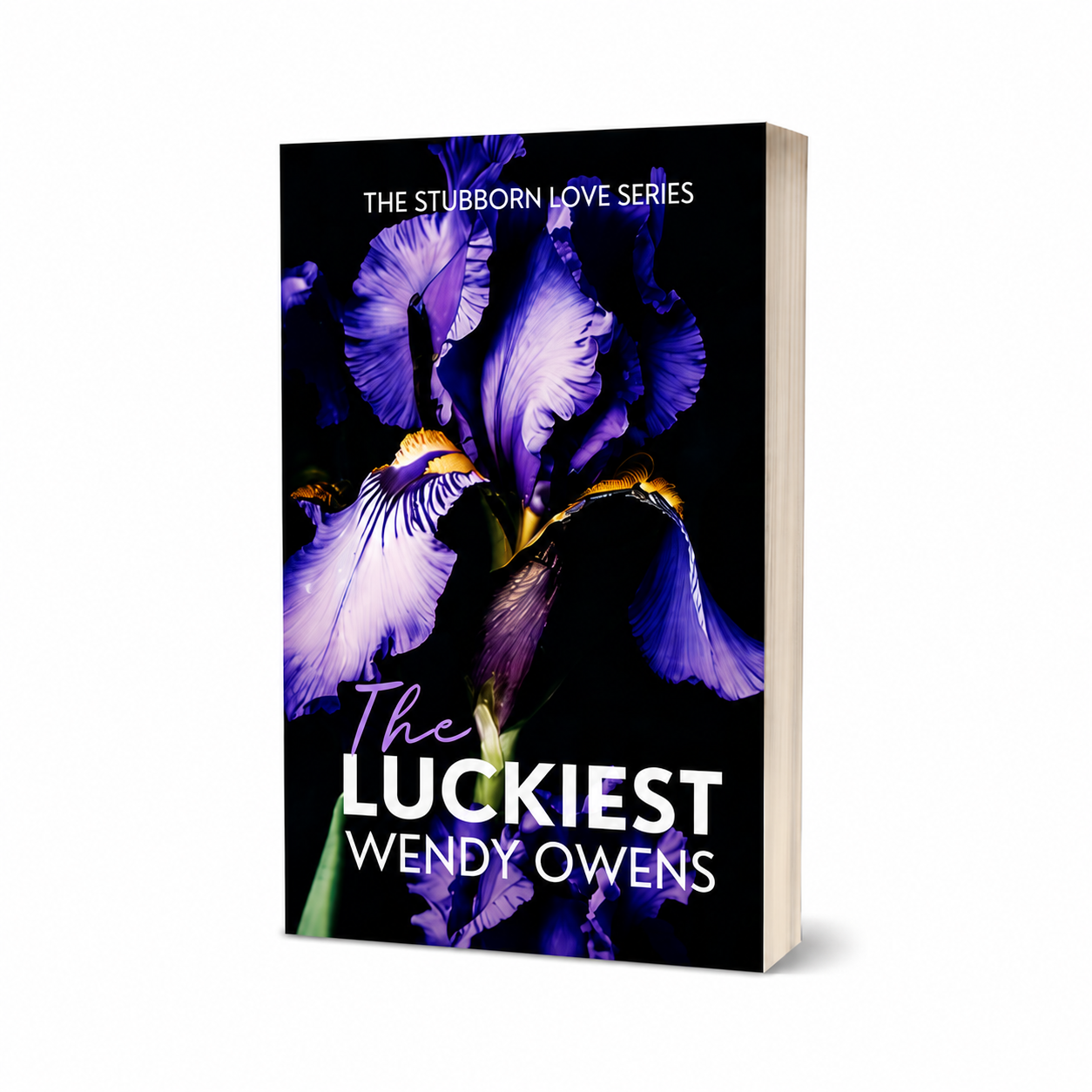 Stubborn Love Series (3 book) Bundle - Spicy Contemporary Romances