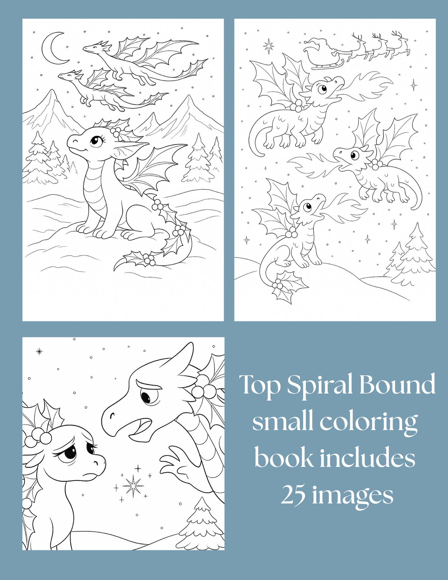 PRE-ORDER: Emberly: The Christmas Dragon Who Lost Her Spark Pre-Order Now — Ships Beginning November 26th!