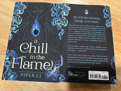 Fantasy/Romantasy Book Buddy Bundle – Date with a Book + Collectible Buddy Experience