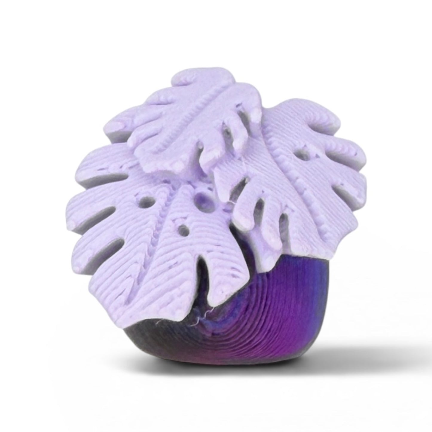 Botanicals - Swappable Clicker Toppers Customize Your Mini Bookshelf