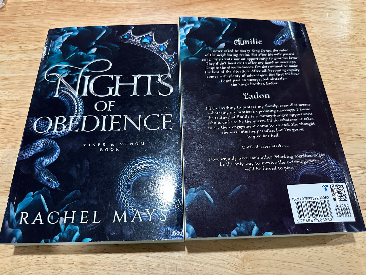 Fantasy/Romantasy Book Buddy Bundle – Date with a Book + Collectible Buddy Experience