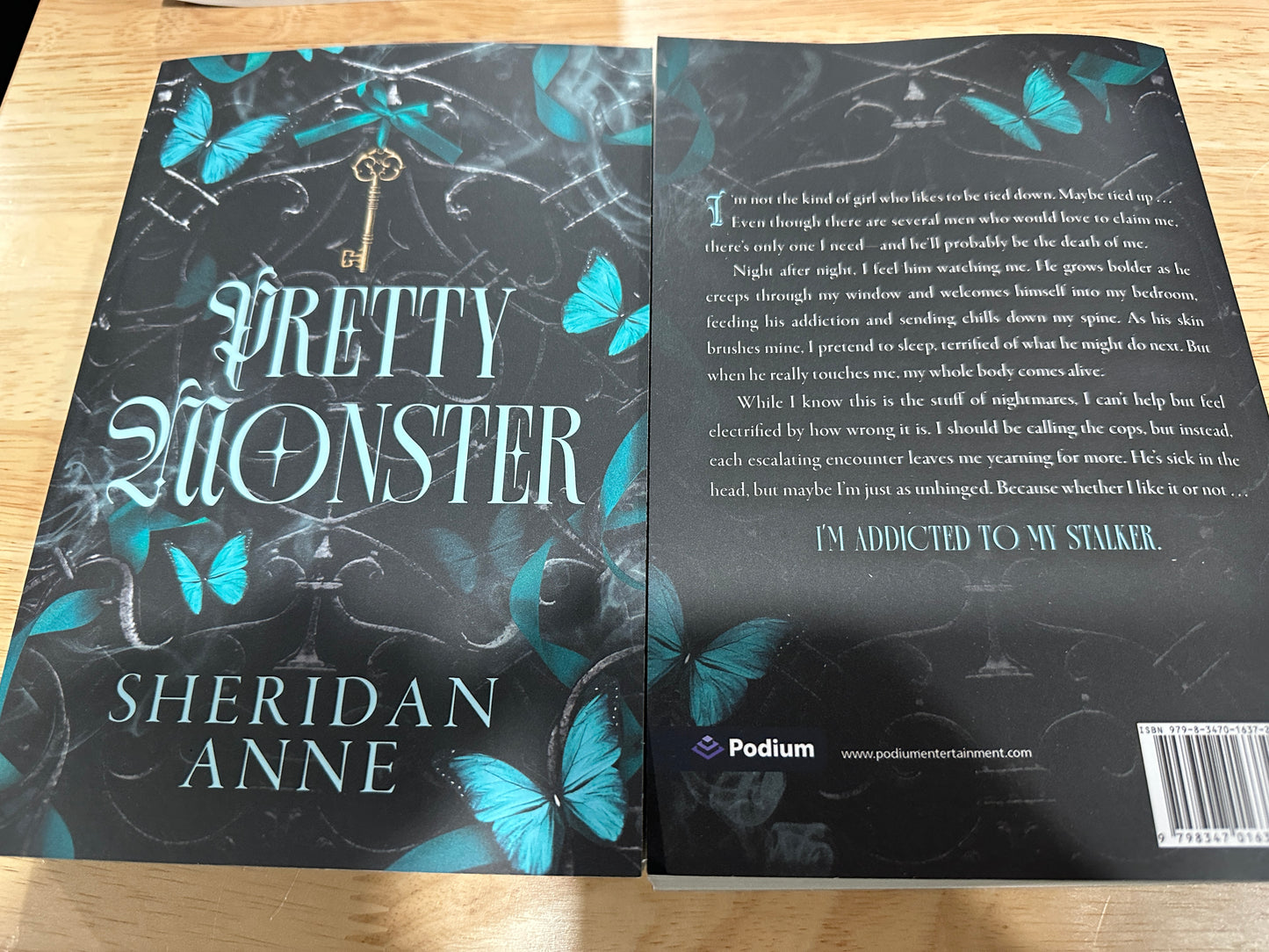 Valentine Book Bundle - Aesthetic Date with a Book Gift for Dark & Spicy Readers