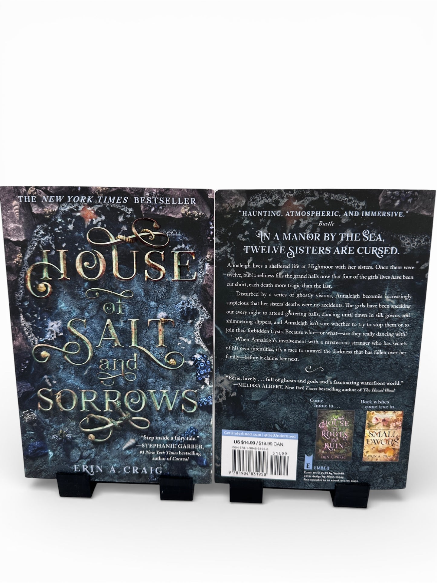 Valentine Book Bundle - Aesthetic Date with a Book Gift for Fantasy/Romantasy Readers