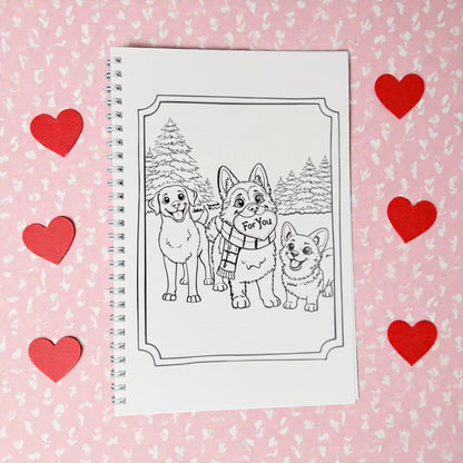 Bailey & Her Paw Pals Story Book and Merch Collection
