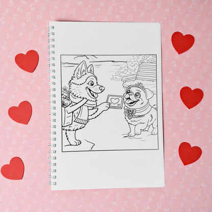 Bailey & Her Paw Pals Story Book and Merch Collection