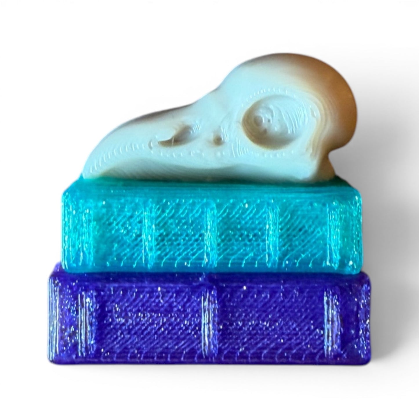 Swappable Clicker Toppers Customize Your Mini Bookshelf