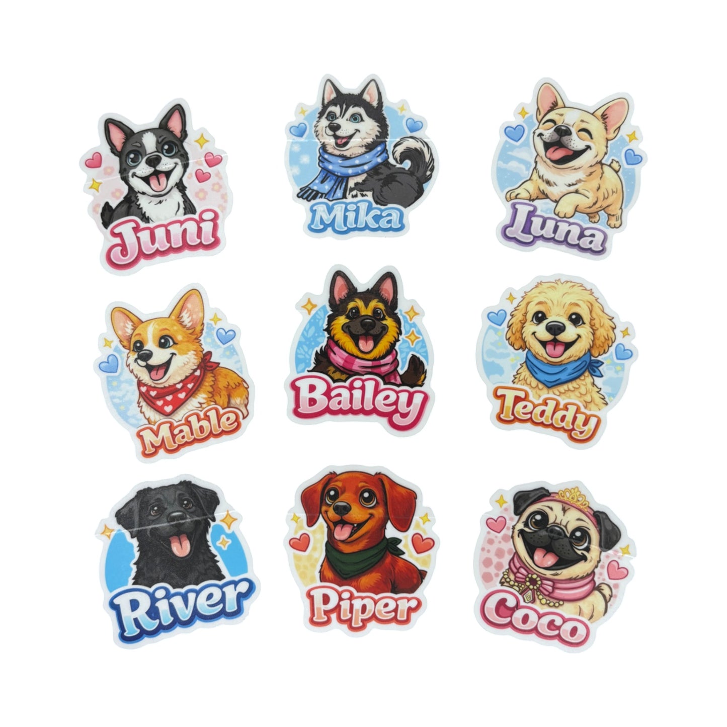 Bailey & Her Paw Pals Story Book and Merch Collection