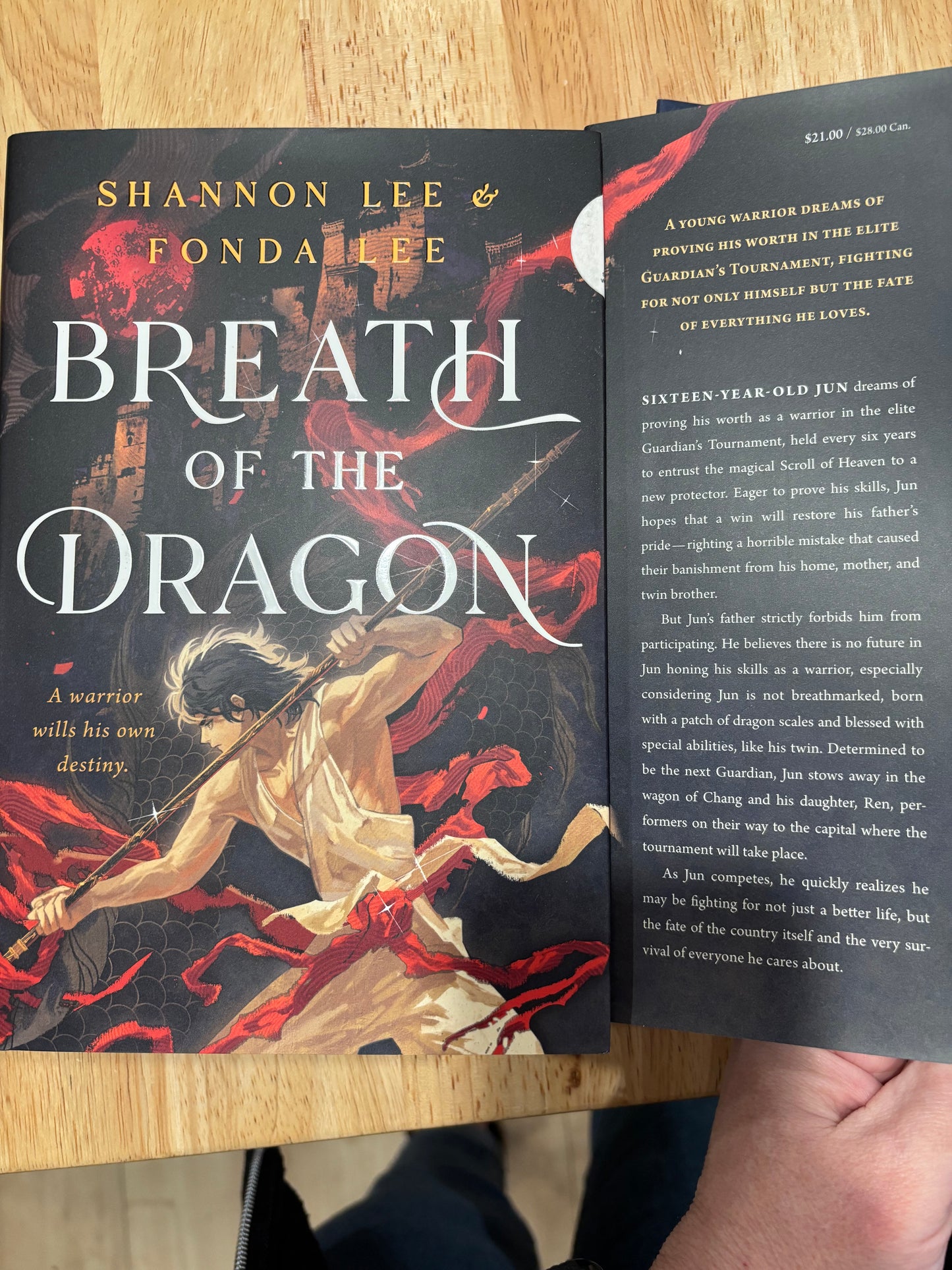 Valentine Book Bundle - Aesthetic Date with a Book Gift for Fantasy/Romantasy Readers