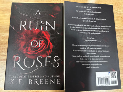 Valentine Book Bundle - Aesthetic Date with a Book Gift for Fantasy/Romantasy Readers