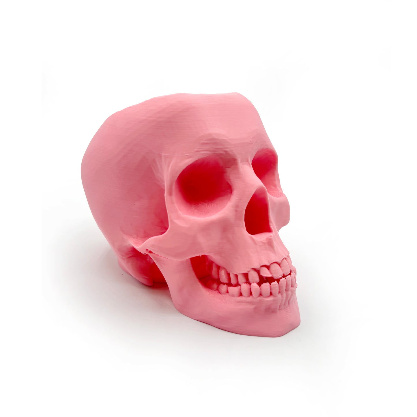 3D Printed Skull Pen Holder – Bookish Decor for Desk or Vanity | Fantasy-Inspired Organizer