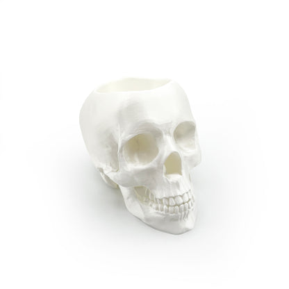3D Printed Skull Pen Holder – Bookish Decor for Desk or Vanity | Fantasy-Inspired Organizer