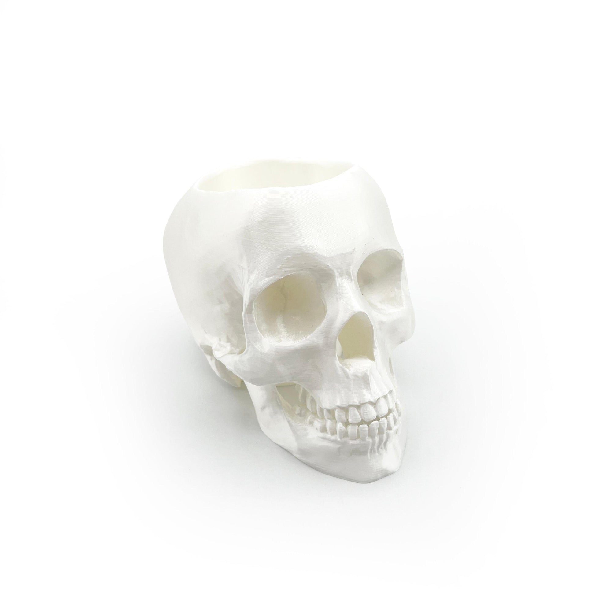 3D Printed Skull Pen Holder – Bookish Decor for Desk or Vanity | Fantasy-Inspired Organizer