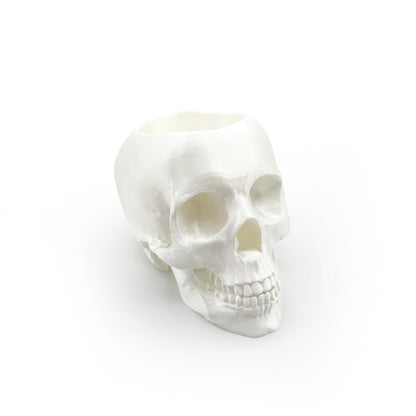 3D Printed Skull Pen Holder – Bookish Decor for Desk or Vanity | Fantasy-Inspired Organizer