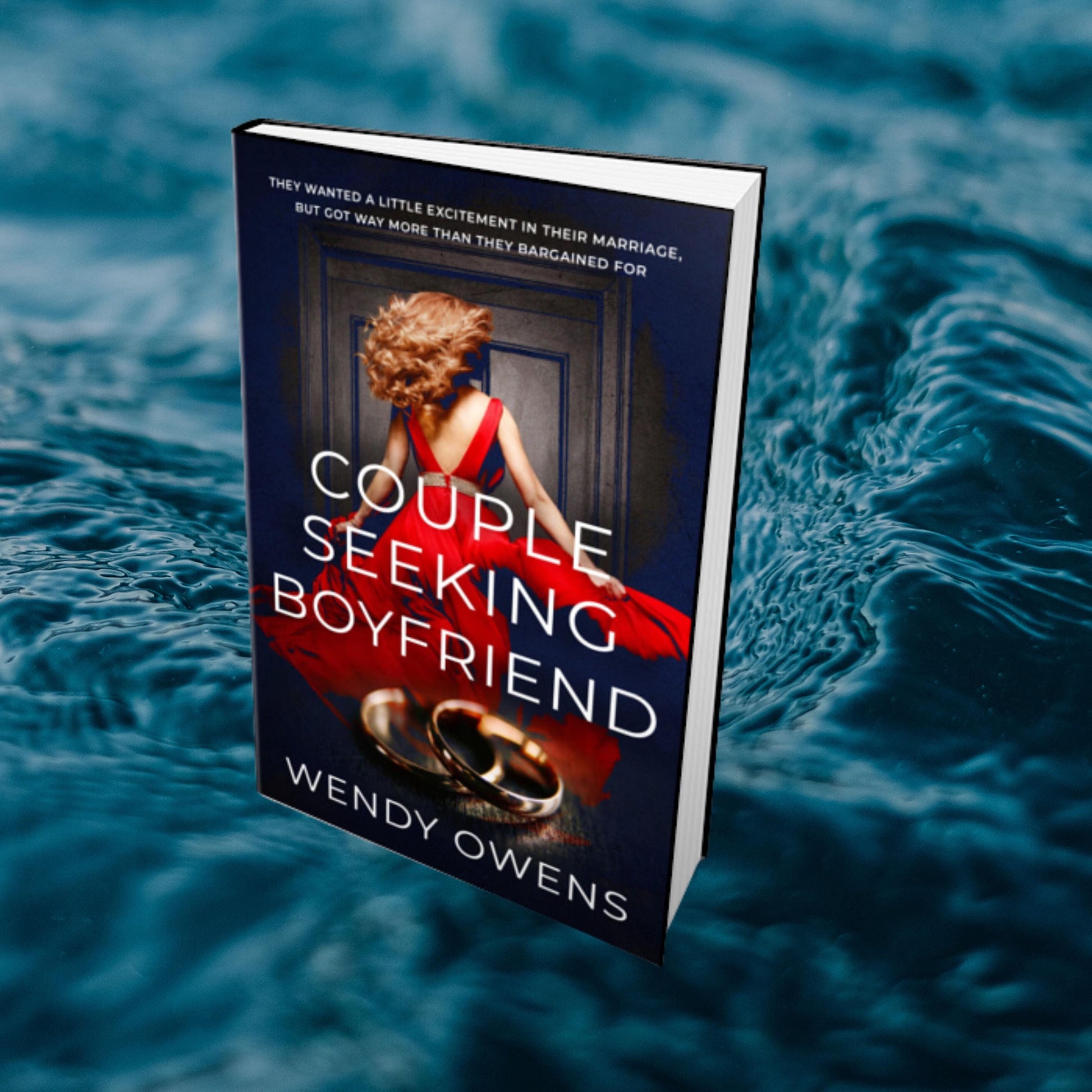 Couple Seeking Boyfriend - A spicy psychological thriller NEW RELEASE