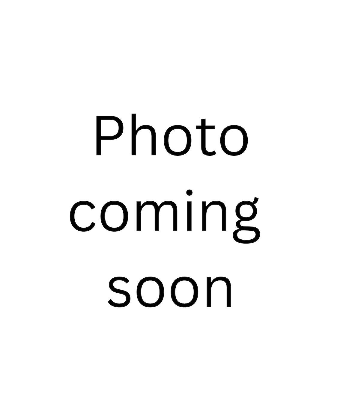 Kindle and Device Novelty Dust Plug Charms